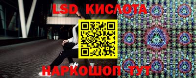 шишки Донской