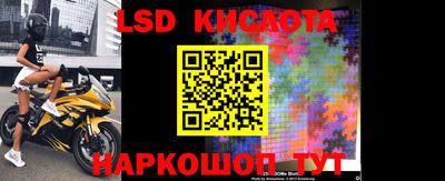 шишки Донской
