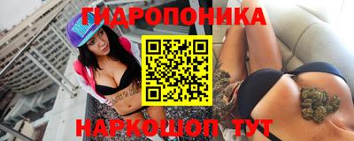 шишки Донской