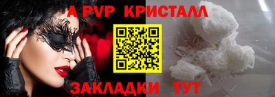 шишки Донской