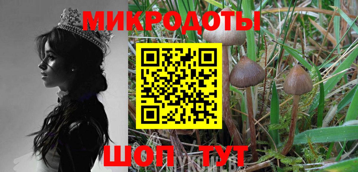 Балашов  Псилоцибиновые грибы Psilocybine cubensis  купить наркотик  Вход с VPN 